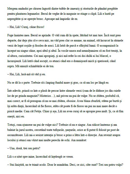 Anca Mateescu, Georgiana Petrache, Diana Joicaliuc MONICA LOVINESCU JURNAL ÎN OGLINDĂ - imagine 6