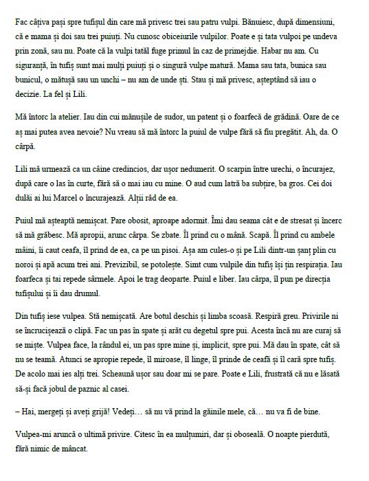 Anca Mateescu, Georgiana Petrache, Diana Joicaliuc MONICA LOVINESCU JURNAL ÎN OGLINDĂ - imagine 7